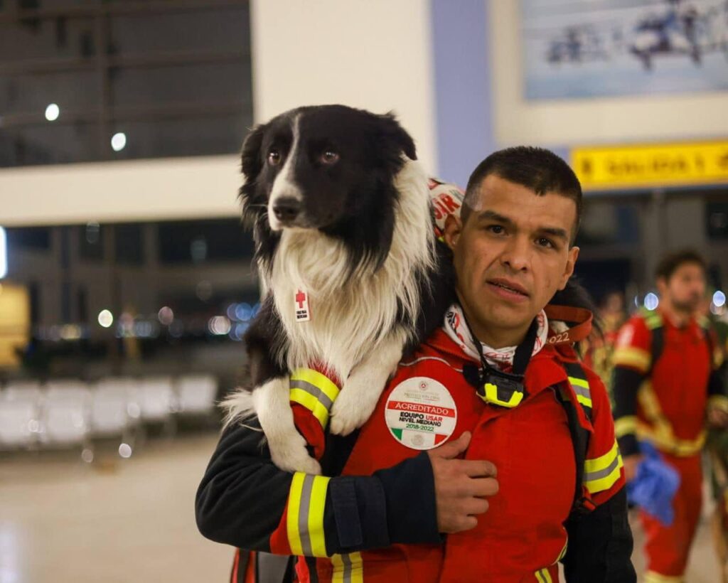 Rescue Dogs Helping Search For Survivors In Turkey IRIA News   Mexico Dog Rescue Team 1024x820 